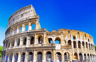 Фотообои \"Солнечный Колизей, Италия, Рим\" - Арт. 090041 | Купить в  интернет-магазине Уютная стена