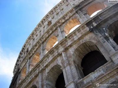 Колизей (внутри) + Римский форум (внутри) + Палатин — экскурсия на  «Тонкостях туризма»