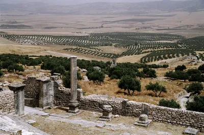 Колизей в El-Jem, Тунис, Африка Стоковое Изображение - изображение  насчитывающей старо, история: 27047707