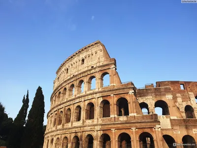 РИМ КОЛИЗЕЙ – легенды и факты. Неизвестная история. Необычный Рим | Гид Рим  Ватикан - Елена