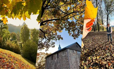 Осень в Коложском парке Гродно – какой ее видят пользователи Instagram —  Вечерний Гродно