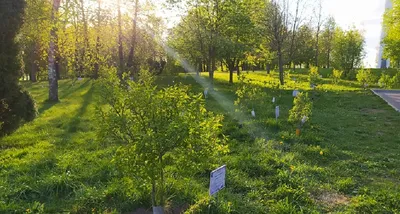 На «гродненской Рублевке» за огромные деньги продали последний участок под  частный коттедж — Блог Гродно s13