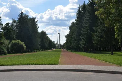 В топе Коложский парк и Вишневец — где самая дорогая земля в Гродно —  Вечерний Гродно