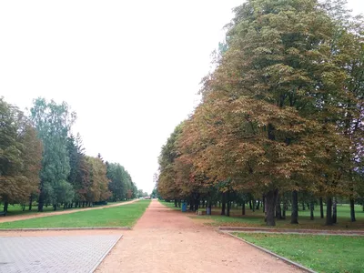 Коложский парк, парк культуры и отдыха, Гродно, Коложский парк — Яндекс  Карты