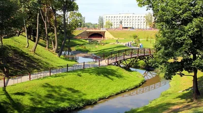 Городские парки Гродно повторно обработают от клещей - NewGrodno.By