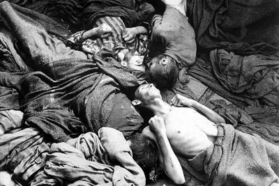 Чем больше пленных умрет, тем лучше для нас» Как нацисты создали систему  лагерей смерти и какие тайны они там скрывали: История: Наука и техника:  Lenta.ru