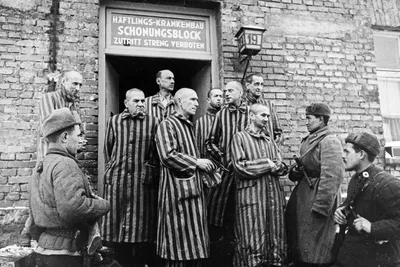 Израиль напомнил Польше, кто освободил лагерь в Освенциме - Российская  газета