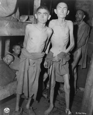 Пометка заключённых в концентрационных лагерях — Википедия