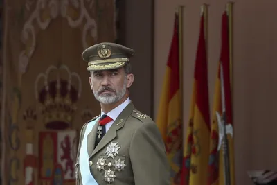 Город в Каталонии объявил испанского короля Фелипе VI персоной нон грата -  РИА Новости, 16.03.2021