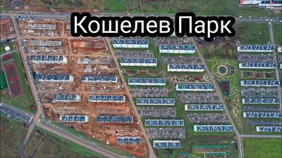 Кошелев проект