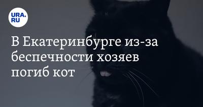 Мягкая игрушка Кот Батон 108 см 058D-2640D купить в Екатеринбурге -  интернет магазин Rich Family