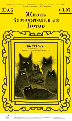Кот с инопланетными ушами: необычное животное продают в Новосибирске |  Новости – Gorsite.ru