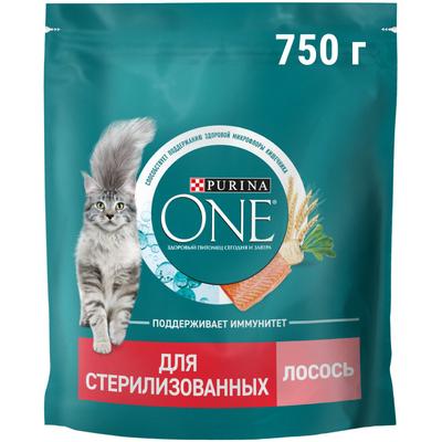 Найден породистый кот в Самаре, Ново-Вокзальная улица | Pet911.ru