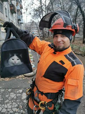 Игрушка Спутник кот серый длинный - купить с доставкой в Самаре в  Перекрёстке