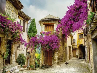 Фотообои Красивая улочка во Франции на стену. Купить фотообои Красивая  улочка во Франции в интернет-магазине WallArt