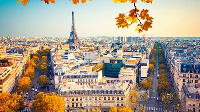 Картинка Париж Франция Осень Улица Дороги Дома город 1920x1080
