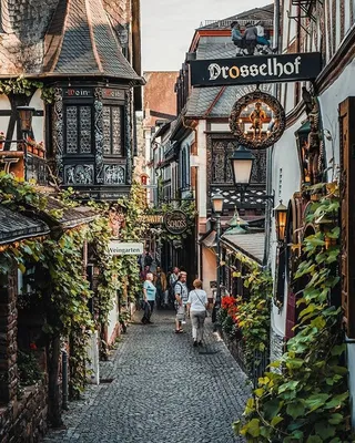 Куда пойти в Германии - рейтинг самых красивых городков 2023 года - Закордон