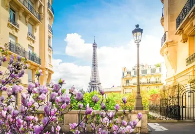 Топ 10 самых красивых стран и городов мира! | 10 TOP | Дзен