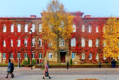 10 красивых локаций для фотосессий в Гродно | Citymix.by