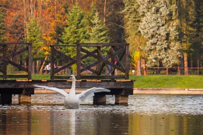 Красивое небо в Минске | Minsk belarus, Minsk, Belarus