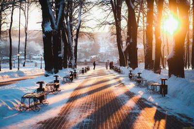 Самые романтичные места в Москве для прогулок зимой – The City