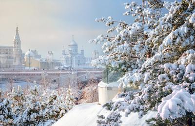 Самые красивые скверы Москвы для прогулок зимой – The City
