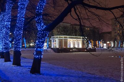 Город Москва (Россия) - «Новогодняя Москва🎄Куда сходить, где  погулять.Праздничная атмосфера.Цены в ЦУМе🎁Достоинства и недостатки » |  отзывы