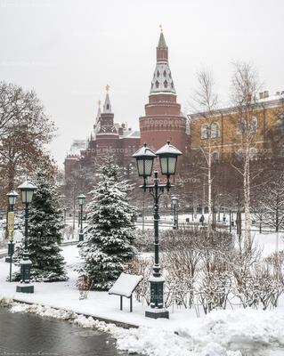 Москва Зимой Фото Новый Год – Telegraph