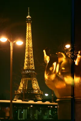 картинки : легкий, ночь, здание, Париж, небоскреб, городской пейзаж,  смеркаться, Франция, вечер, Размышления, Башня, Ориентир, Темнота,  осветительные приборы, Эйфелева башня, ночной вид 2592x3888 - - 1017516 -  красивые картинки - PxHere