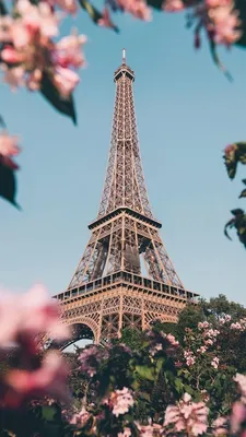 Эстетика Париж