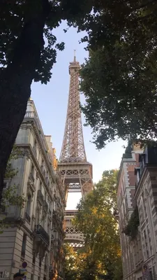 Эстетика Париж