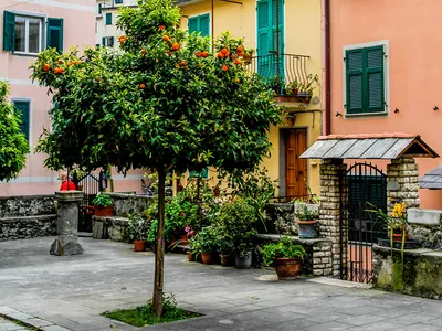 Красивая Венецианская Улица В Летний День, В Италии Фотография, картинки,  изображения и сток-фотография без роялти. Image 78052258