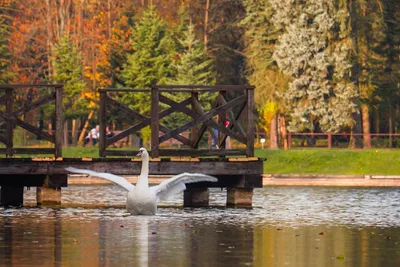 10 самых инстаграмных мест в Минске — The Village Беларусь