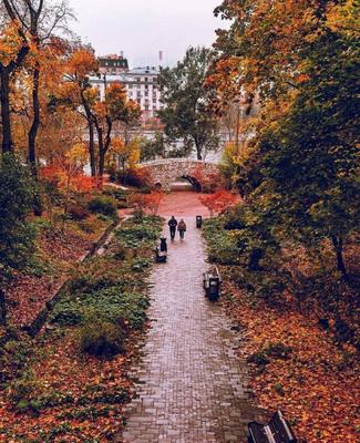 Куда сходить в Москве осенью: лучшие парки столицы, развлечения для детей