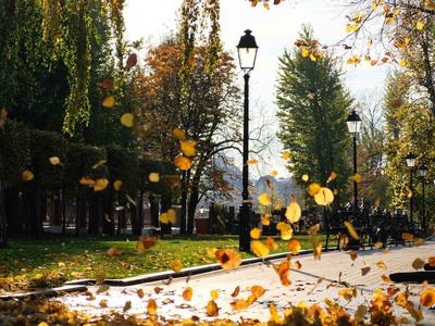 Самые романтичные места в Москве для двоих