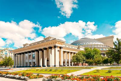 Парки Новосибирска 💥: список парков, скверов и садов для отдыха с  описанием и фото — Tripster.ru