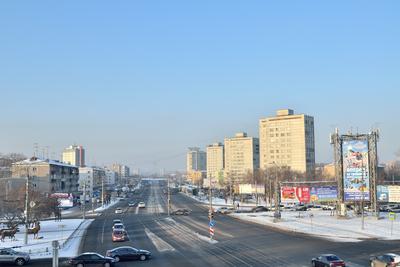 Названы 7 улиц Красноярска с квартирами для самых зажиточных горожан  (карта+цены) — Новости Красноярска на 7 канале
