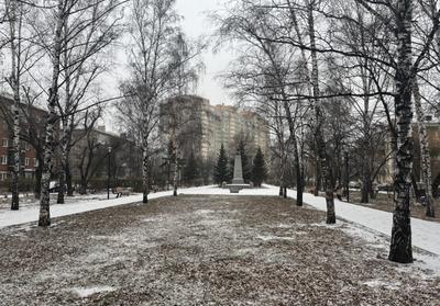 В Красноярске сегодня потеплеет до плюс 1 — Новости Красноярска на 7 канале