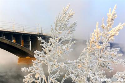 Город Красноярск: климат, экология, районы, экономика, криминал и  достопримечательности | Не сидится