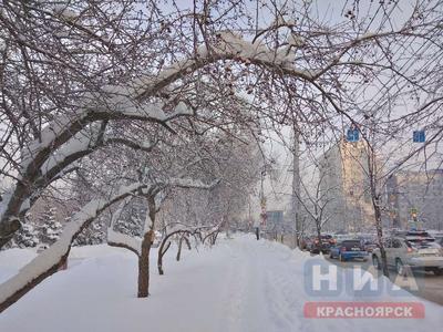 В Красноярске собираются запустить зимний аналог «ЯРких берегов» со  скульптурами и концертами — Новости Красноярска на 7 канале