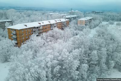 Красноярск зимой» — создано в Шедевруме
