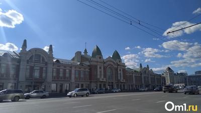 Новосибирский Красный проспект украсят к Новому году гирляндами за 2,5 млн  рублей - Новости Новосибирска - om1.ru