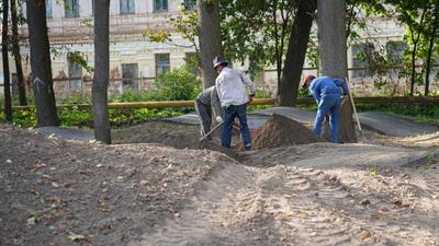 Как происходит кремация в нижегородском крематории, что делать с урной с  прахом умершего. У крематория художники разбили ботанический «Сад имени»,  что это такое - 14 сентября 2019 - НН.ру