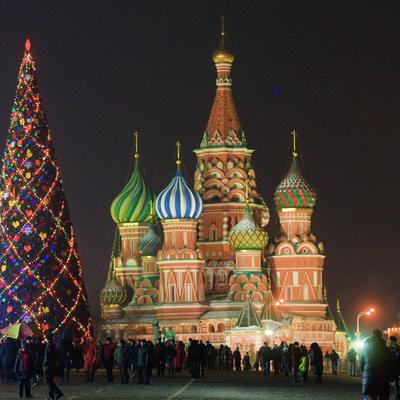 Кремлевская елка – главная елка страны, Москва – фотографии на MsMap.ru