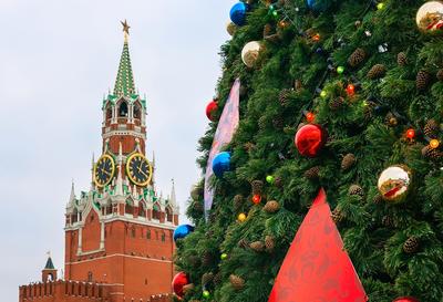 Кремлевская елка Москва фото фотографии