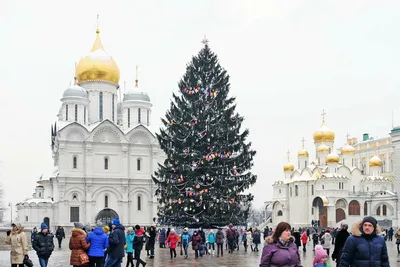 Кремлевская елка 2023-2024: как попасть, цена билета, подарок - Российская  газета