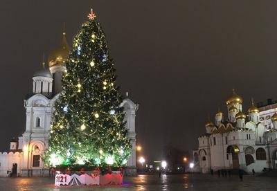 Как выглядит кремлевская елка - Ведомости