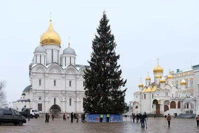 Новогодняя елка в Кремле, Москва - «Кремлевская елка 2018. Пойдем ли мы еще  когда-нибудь на Кремлевскую елку? НИКОГДА.» | отзывы