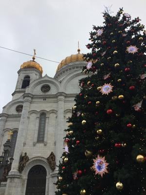 Программа приема школьных групп в Москве на Новый год \"Кремлевская елка\" -  2 дневная – Марина Тревел (dety.travel)