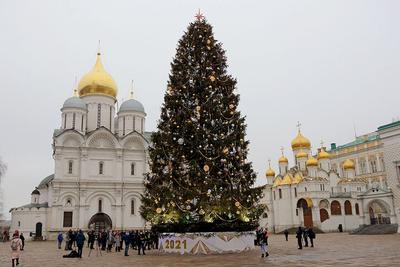 Кремлевскую елку посетят более 220 тысяч человек, ожидают организаторы -  РИА Новости, 25.12.2022